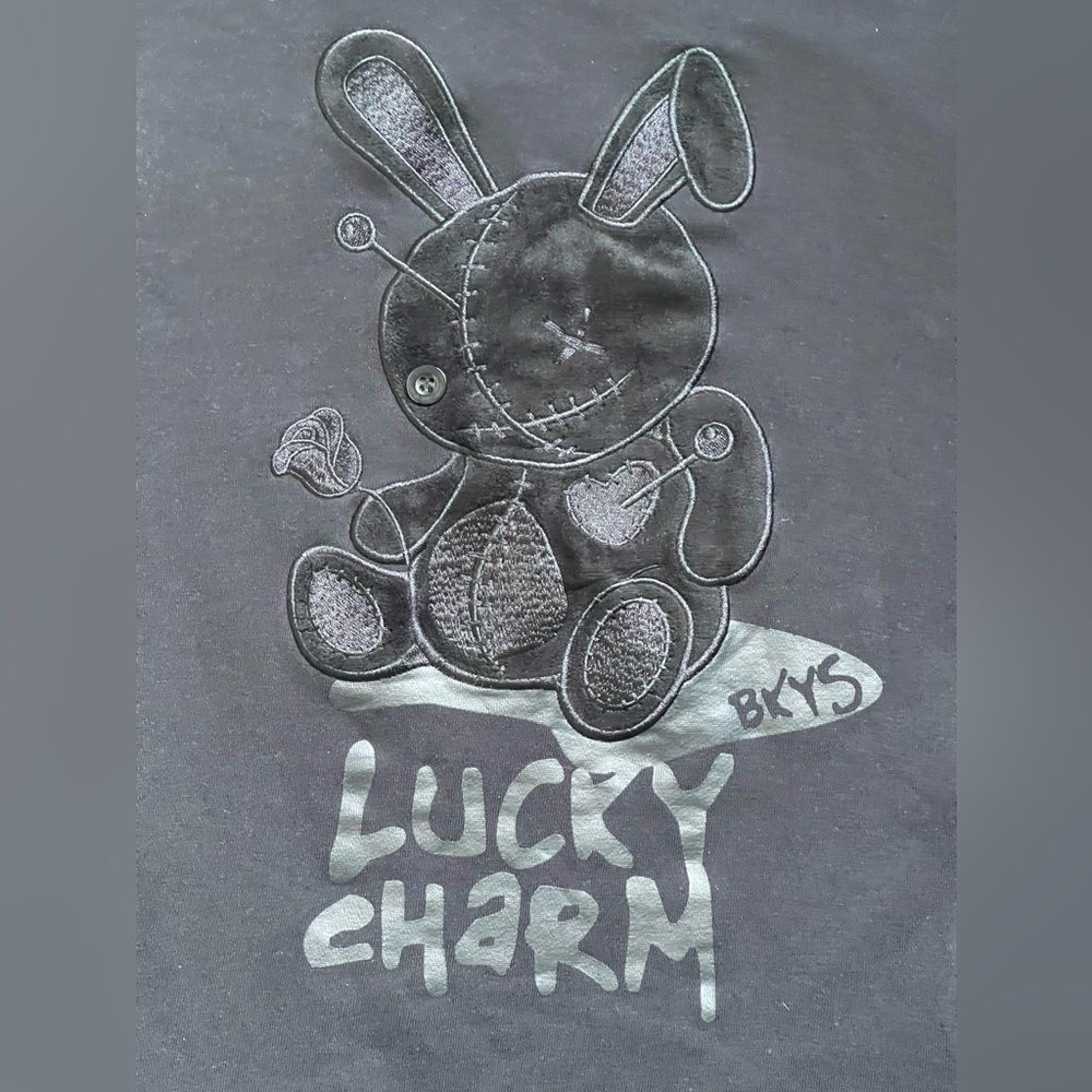 BKYS “Lucky Charm" Hoodie with Graphic Design Size Medium Black - Picture 2 of 10